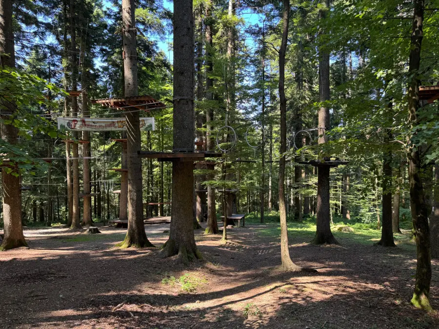 Parque de aventura con circuitos de cuerdas entre los arboles